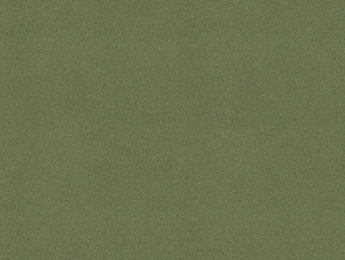 Tessera basis pro - 4201 sage